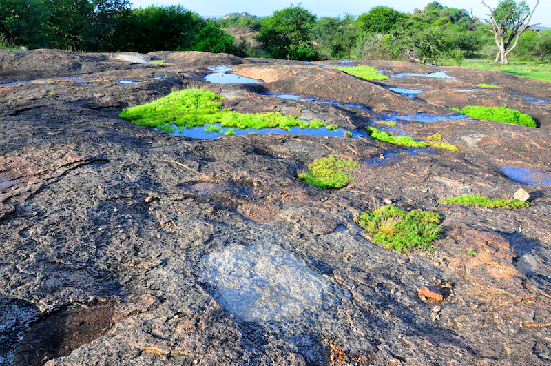 Melanie Heinrich Travel Images Africa